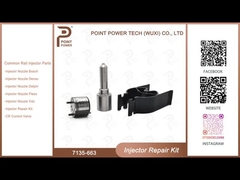 7135-663 Kit de réparation des injecteurs Delphi