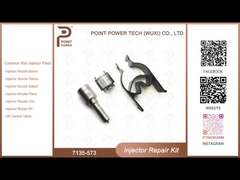 7135-573 Kit de valves à buse Delphi Kit de réparation de l'injecteur pour l'injecteur 33800-4A710/28229873