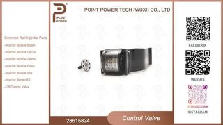 Qualité 28615824 Valve de commande à rampe commune pour injecteur Delphi R00001D 28307309 - Power Tech Wuxi
