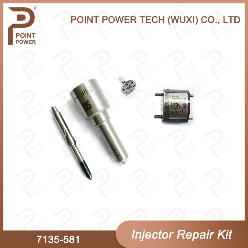 Kit de réparation de l'injecteur Delphi 7135-581 pour le kit PSA / FORD DW10C