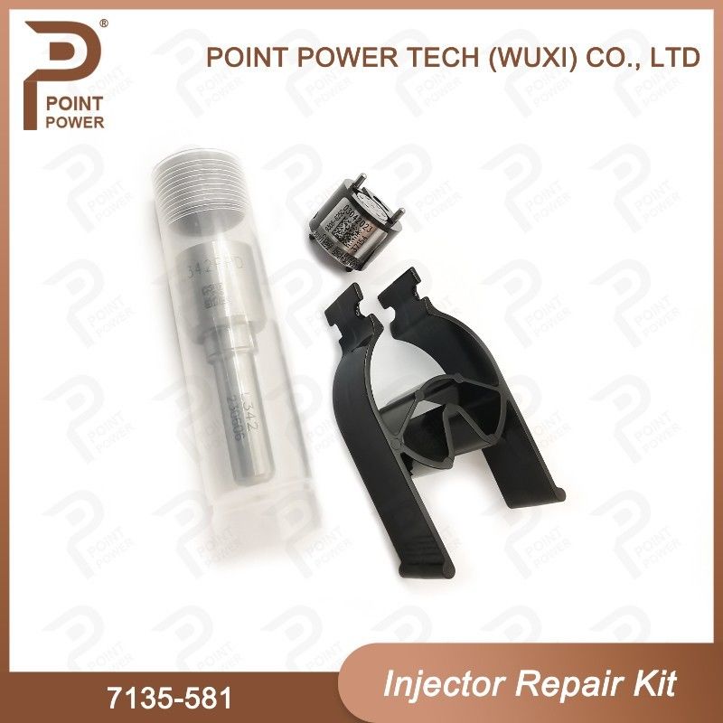 Kit de réparation de l'injecteur Delphi 7135-581 pour le kit PSA / FORD DW10C