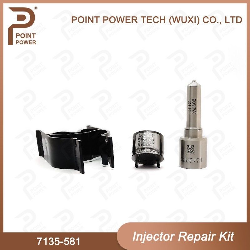 Kit de réparation de l'injecteur Delphi 7135-581 pour le kit PSA / FORD DW10C