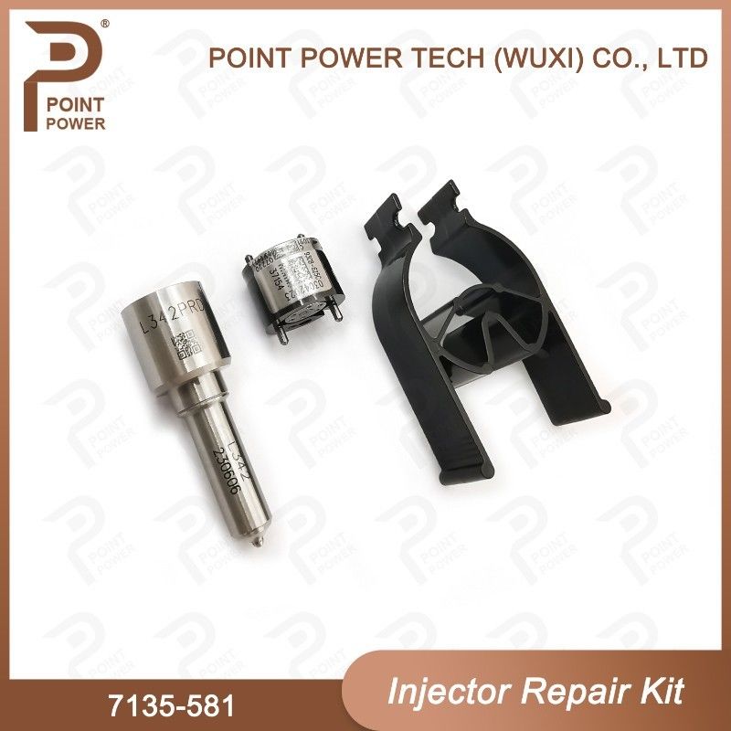 Kit de réparation de l'injecteur Delphi 7135-581 pour le kit PSA / FORD DW10C
