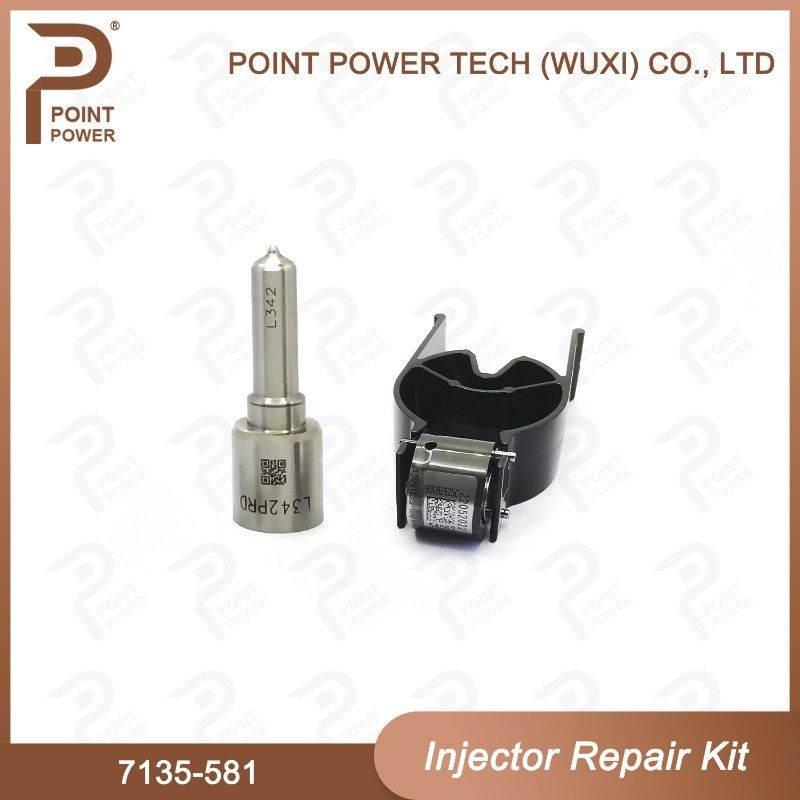 Kit de réparation de l'injecteur Delphi 7135-581 pour le kit PSA / FORD DW10C