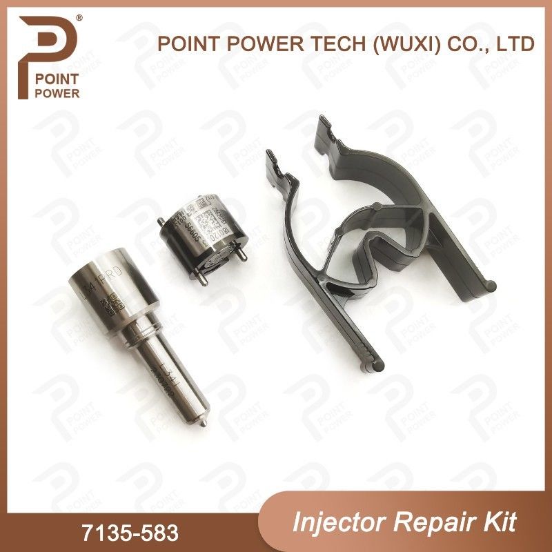 7135-583 Kit de réparation de l'injecteur Delphi pour injecteurs R00301D SSANGYONG D20DTF Kit de vanne à buse