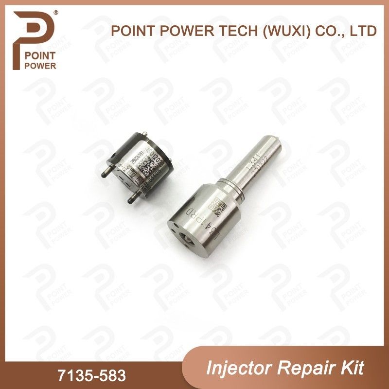 7135-583 Kit de réparation de l'injecteur Delphi pour injecteurs R00301D SSANGYONG D20DTF Kit de vanne à buse