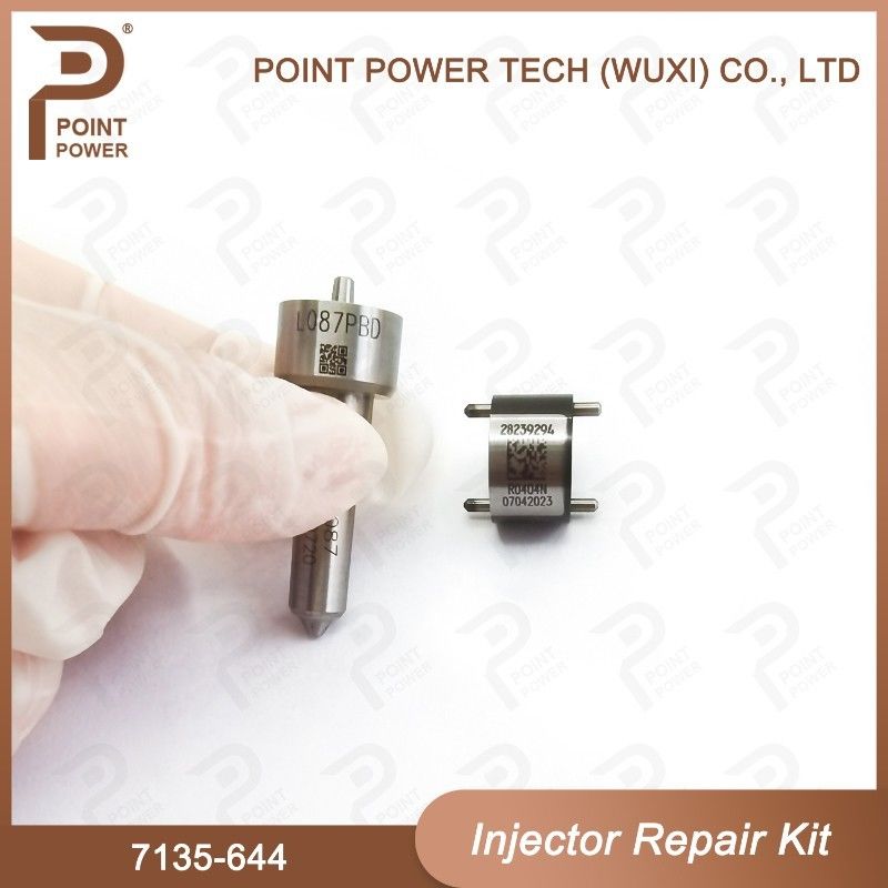 7135-644 Kit de réparation de l'injecteur Delphi Pour l'injecteur 28232242 Kit de CVA à buse avec buse L087PBD