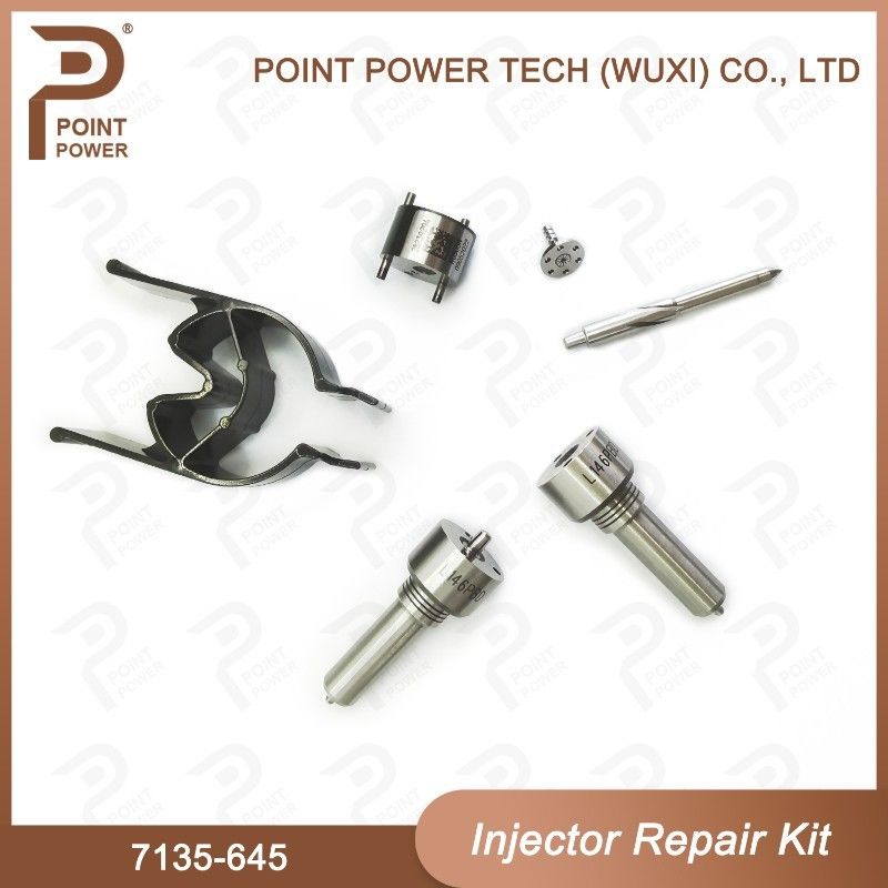 7135-645 Kit de réparation d'injecteurs Delphi pour injecteurs R05201D