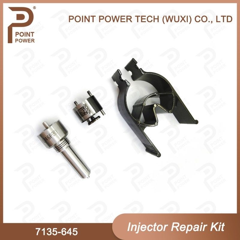 7135-645 Kit de réparation d'injecteurs Delphi pour injecteurs R05201D