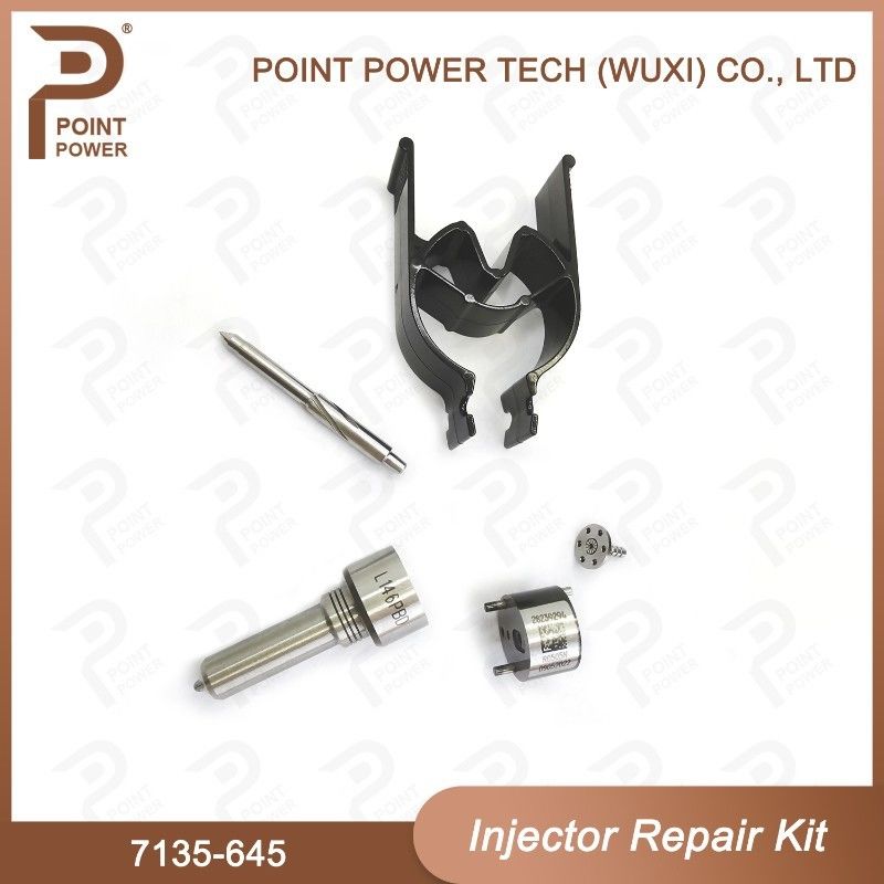 7135-645 Kit de réparation d'injecteurs Delphi pour injecteurs R05201D