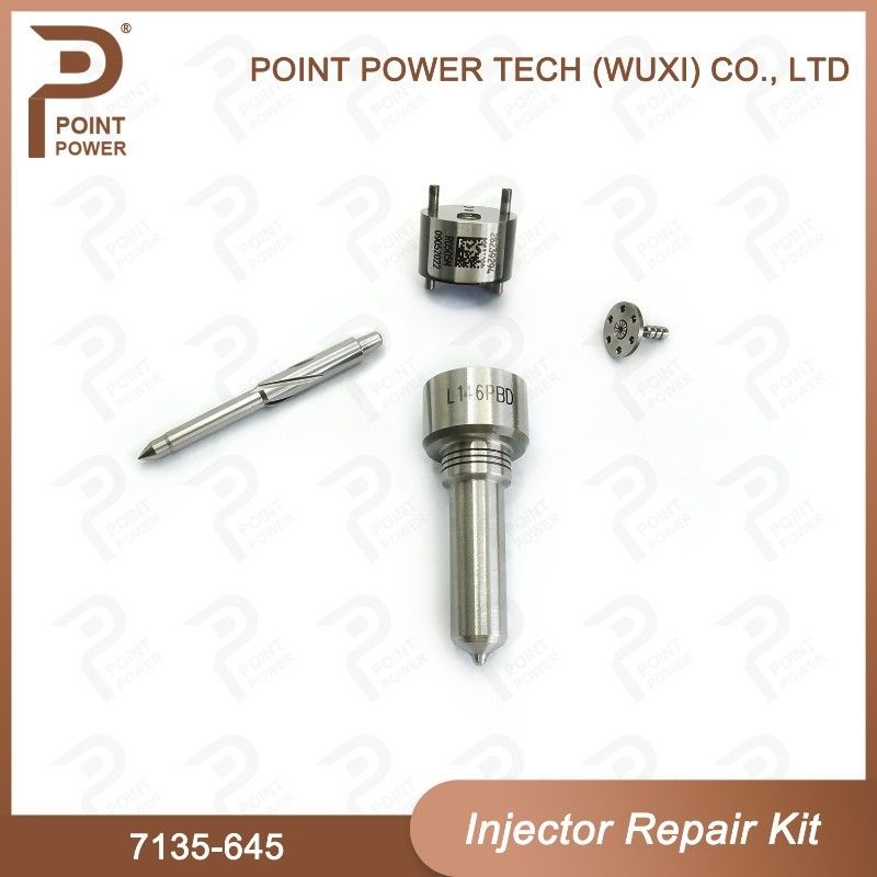 7135-645 Kit de réparation d'injecteurs Delphi pour injecteurs R05201D