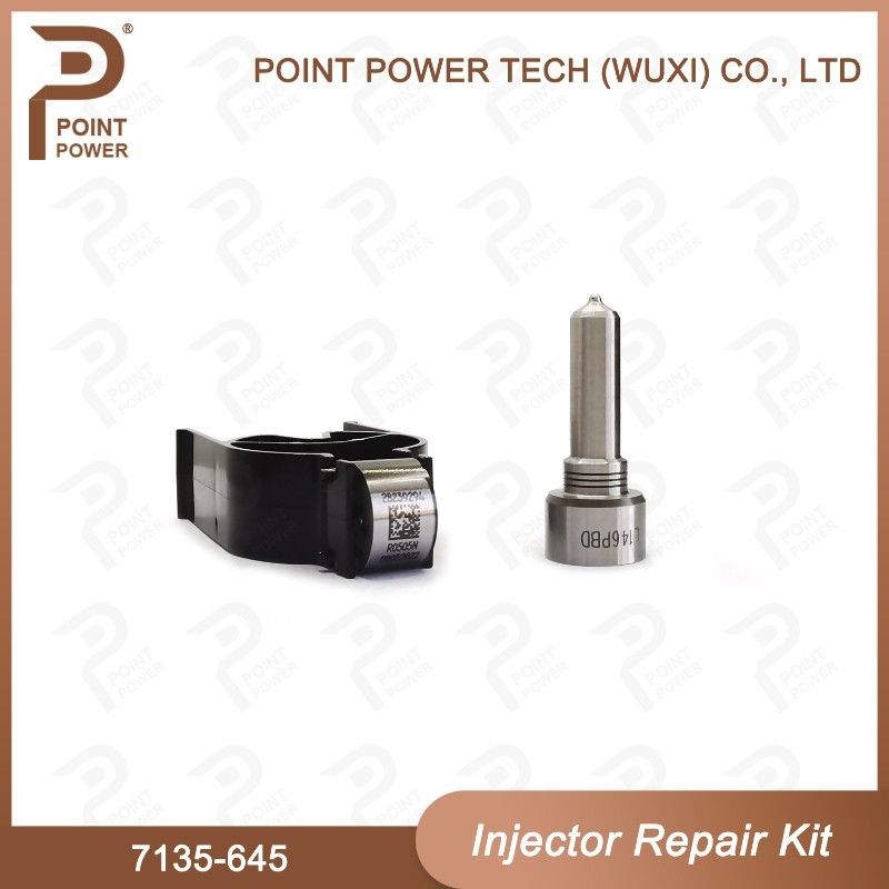 7135-645 Kit de réparation d'injecteurs Delphi pour injecteurs R05201D