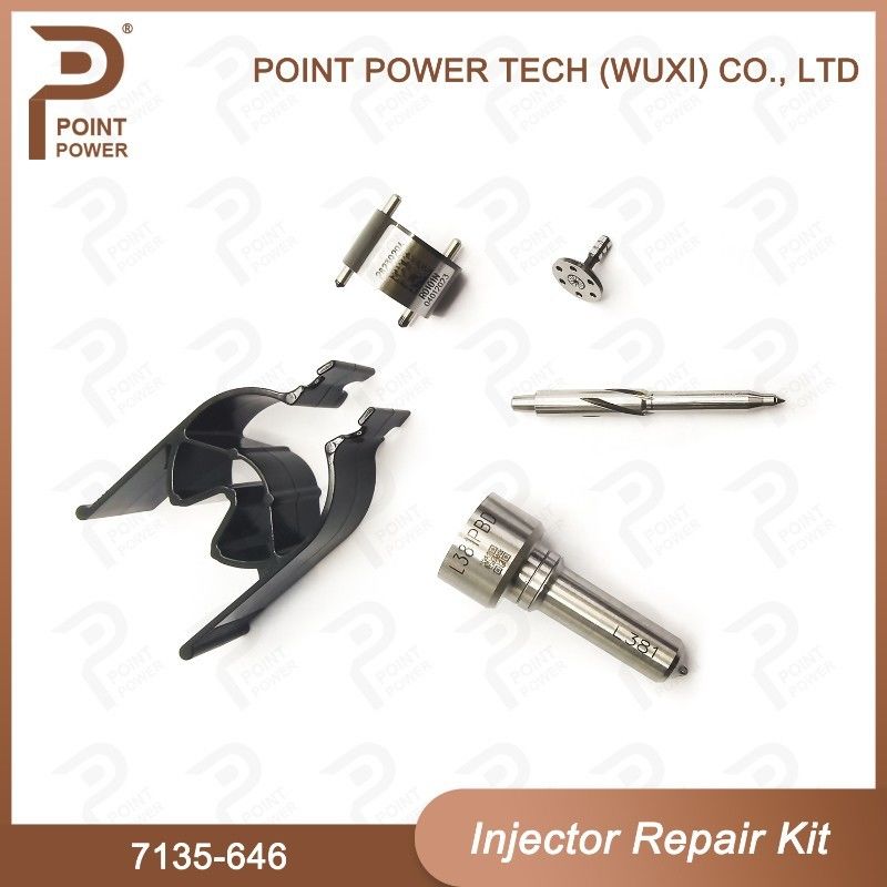7135-646 Kit de réparation de l'injecteur Delphi Pour le kit d'injecteur 28232251/ R03101D/R05102D