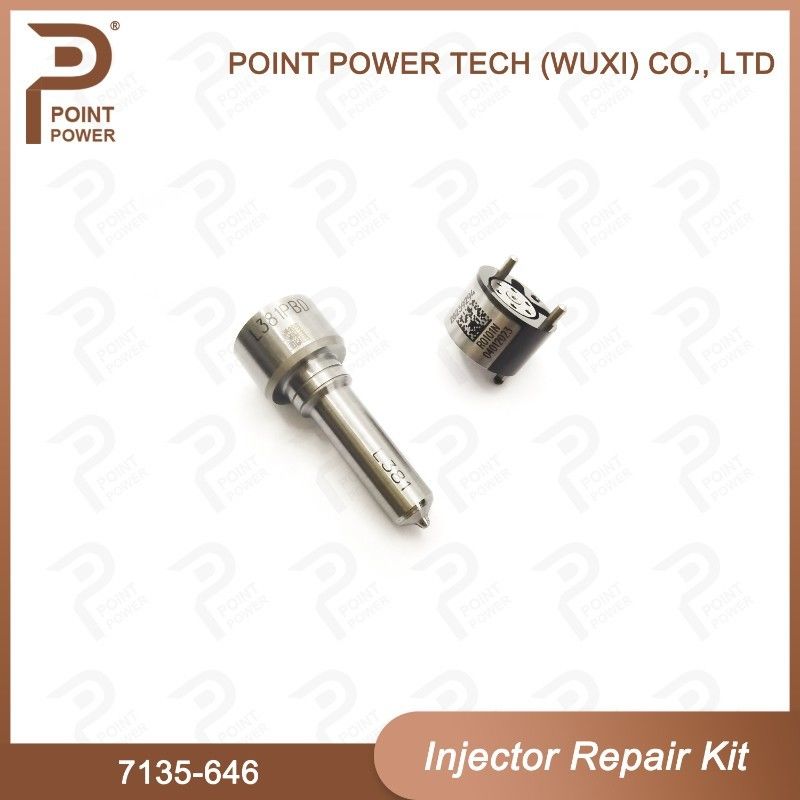 7135-646 Kit de réparation de l'injecteur Delphi Pour le kit d'injecteur 28232251/ R03101D/R05102D