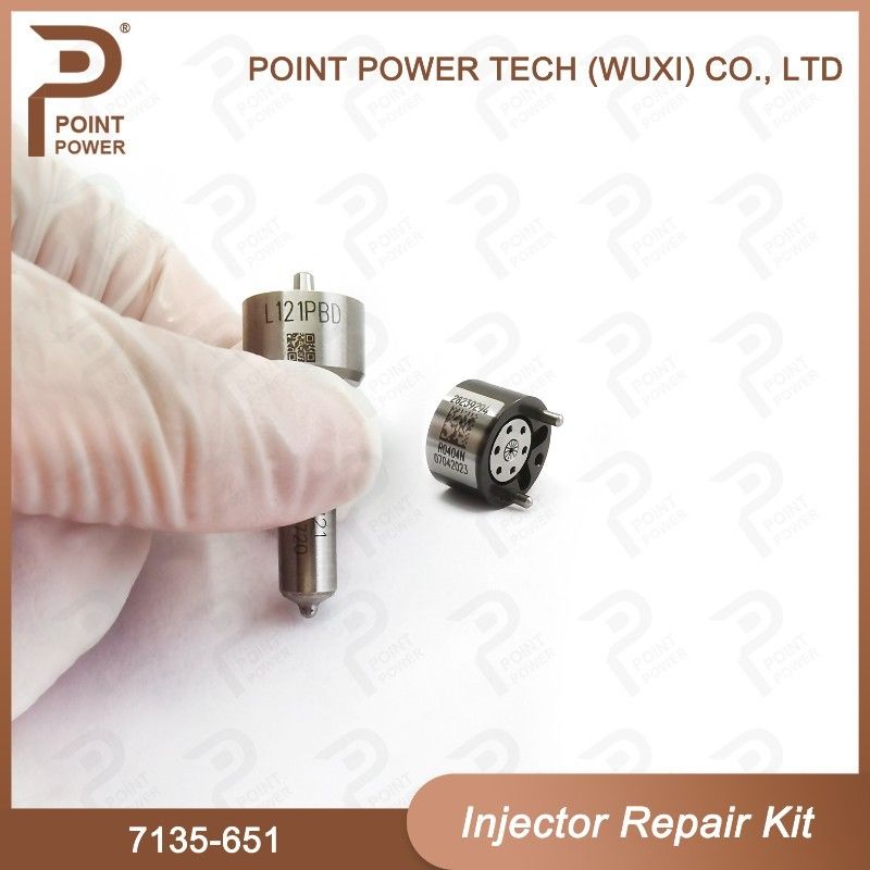 7135-651 Kit de réparation de l'injecteur Delphi pour l'injecteur R02201Z Kit CVA à buse avec buse L121PBD