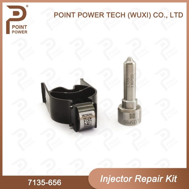 7135-656 Kit de réparation de l'injecteur Delphi pour l'injecteur R00504Z Kit de vanne à buse avec buse L135PBD