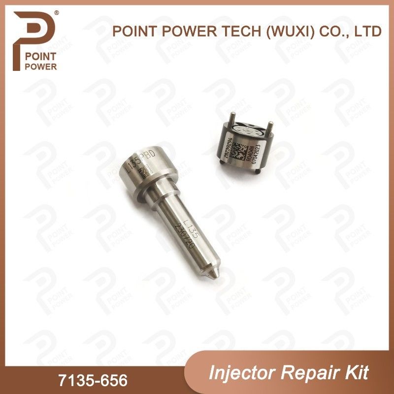 7135-656 Kit de réparation de l'injecteur Delphi pour l'injecteur R00504Z Kit de vanne à buse avec buse L135PBD