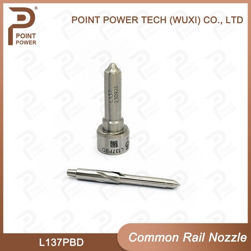 L137PBD Delphi Common Rail Nozzle pour injecteurs EJBR02401Z/02901D Nozzle pour le carburant diesel