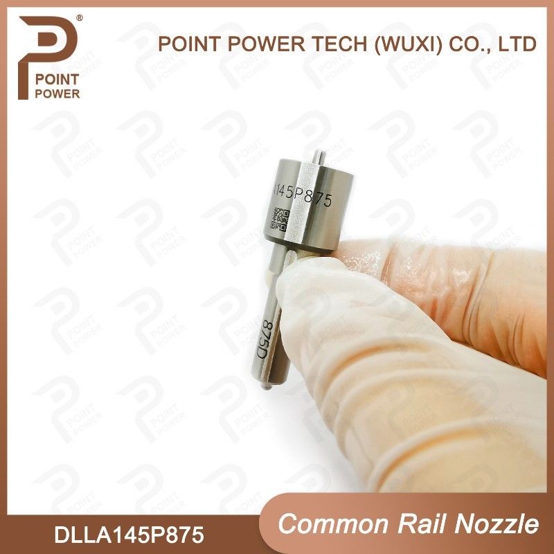 Bec commun de rail de DLLA145P875 Denso pour les injecteurs 1465A054/1465A307 095000-576#/811# etc.