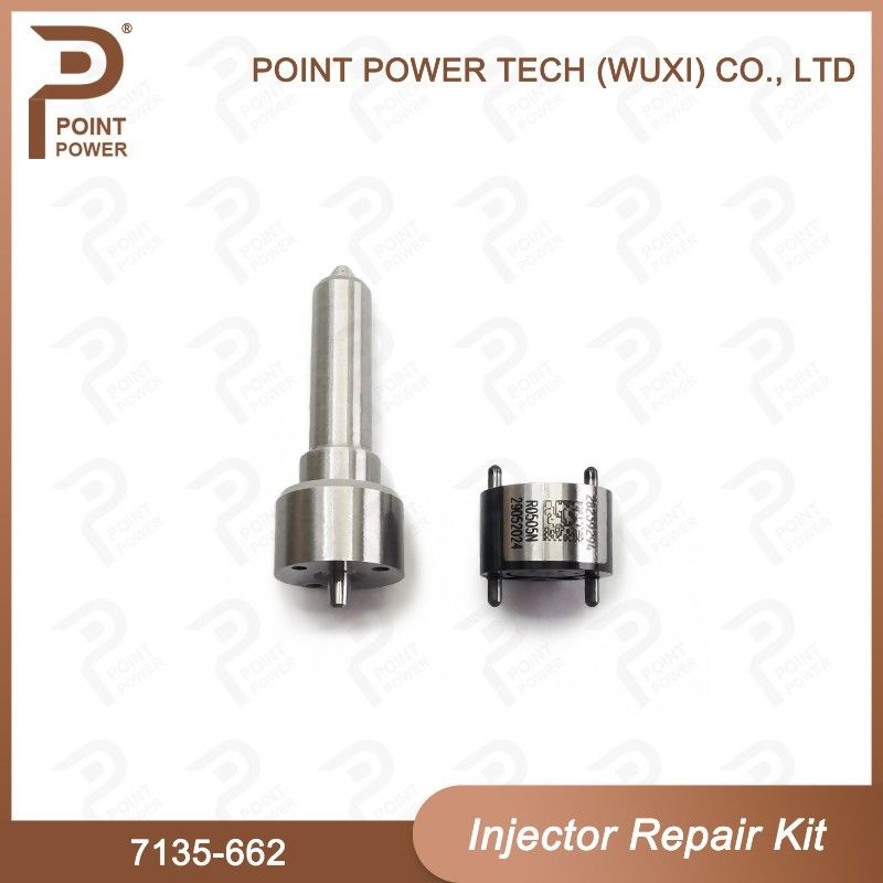 7135-662 Kit de réparation de l'injecteur Delphi Parties de l'injecteur diesel à rail commun Kit de soupape à buse pour l'injecteur R05001D