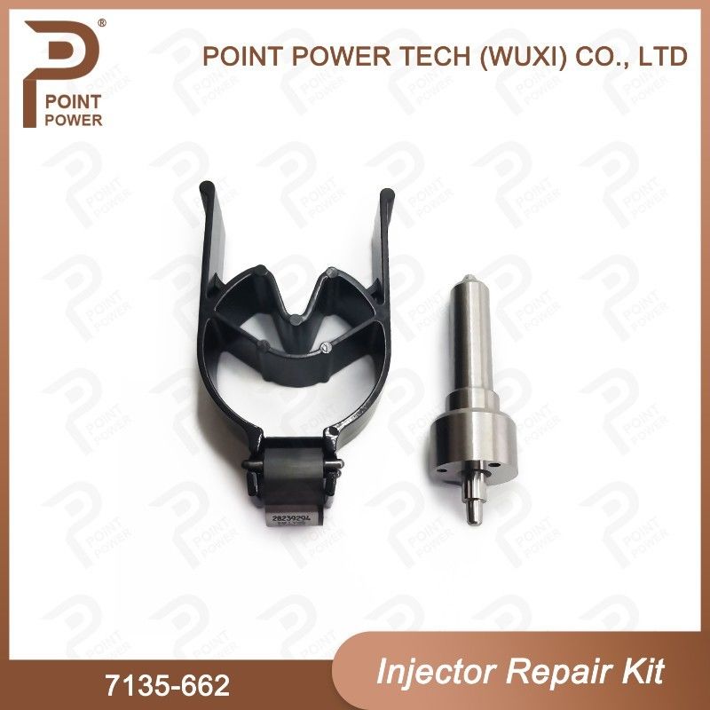 7135-662 Kit de réparation de l'injecteur Delphi Parties de l'injecteur diesel à rail commun Kit de soupape à buse pour l'injecteur R05001D