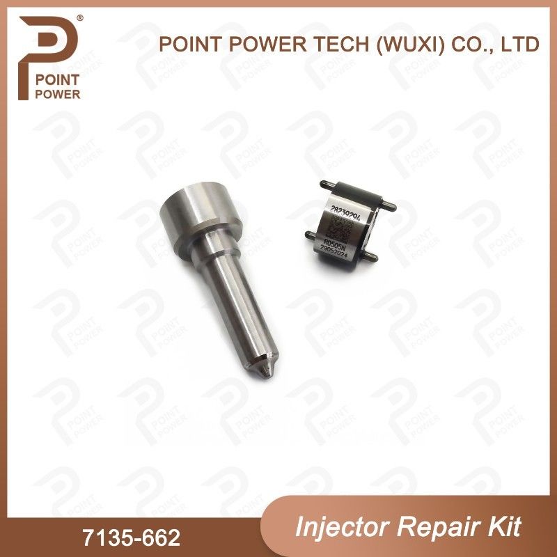 7135-662 Kit de réparation de l'injecteur Delphi Parties de l'injecteur diesel à rail commun Kit de soupape à buse pour l'injecteur R05001D