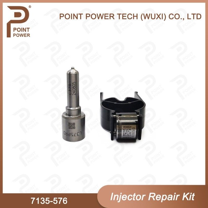 7135-576 Kit de réparation de l'injecteur Delphi Pour l'injecteur 28236381 Kit de soupape à buse