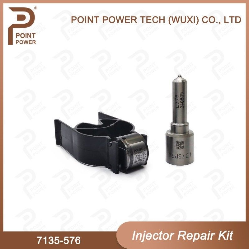 7135-576 Kit de réparation de l'injecteur Delphi Pour l'injecteur 28236381 Kit de soupape à buse
