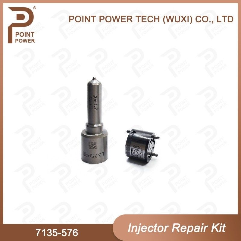 7135-576 Kit de réparation de l'injecteur Delphi Pour l'injecteur 28236381 Kit de soupape à buse
