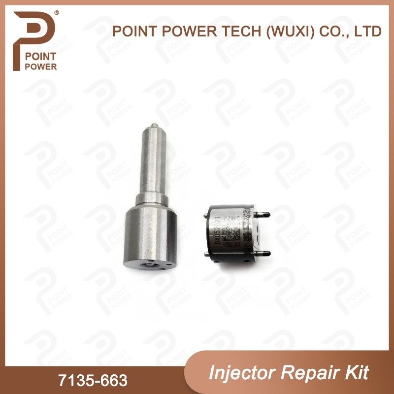 7135-663 Kit de réparation des injecteurs Delphi